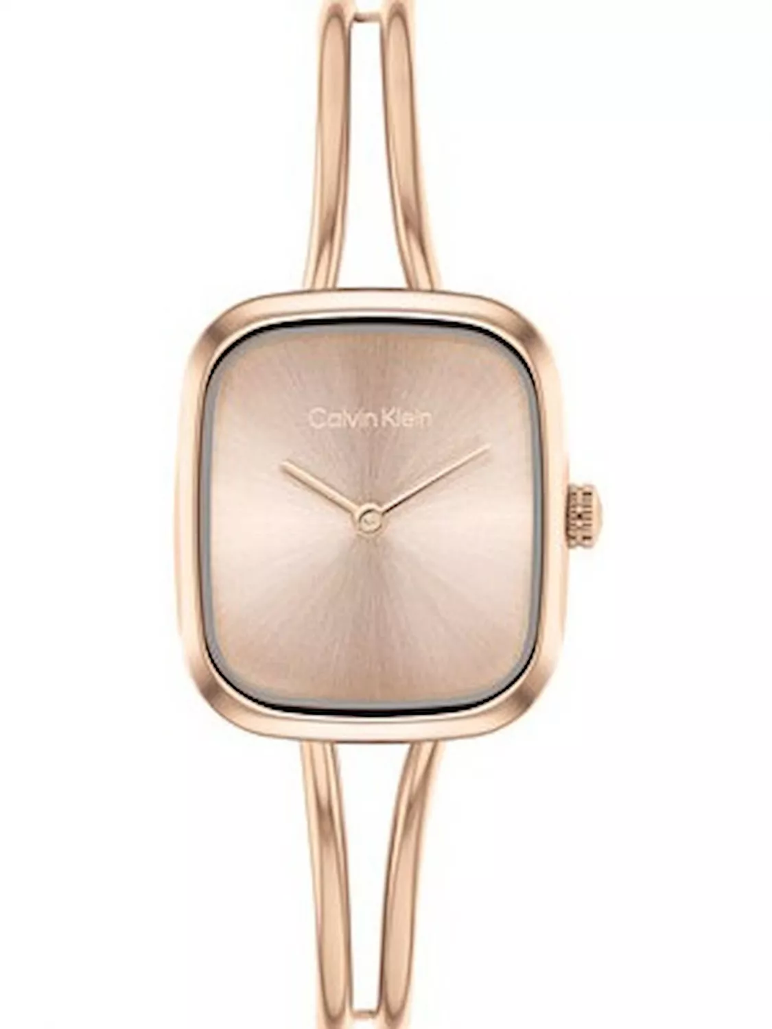 CALVIN KLEIN 25100133