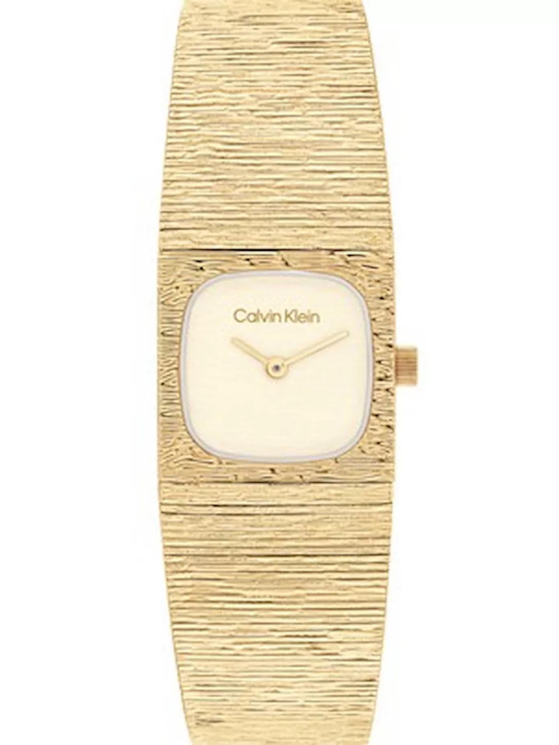 CALVIN KLEIN 25100178