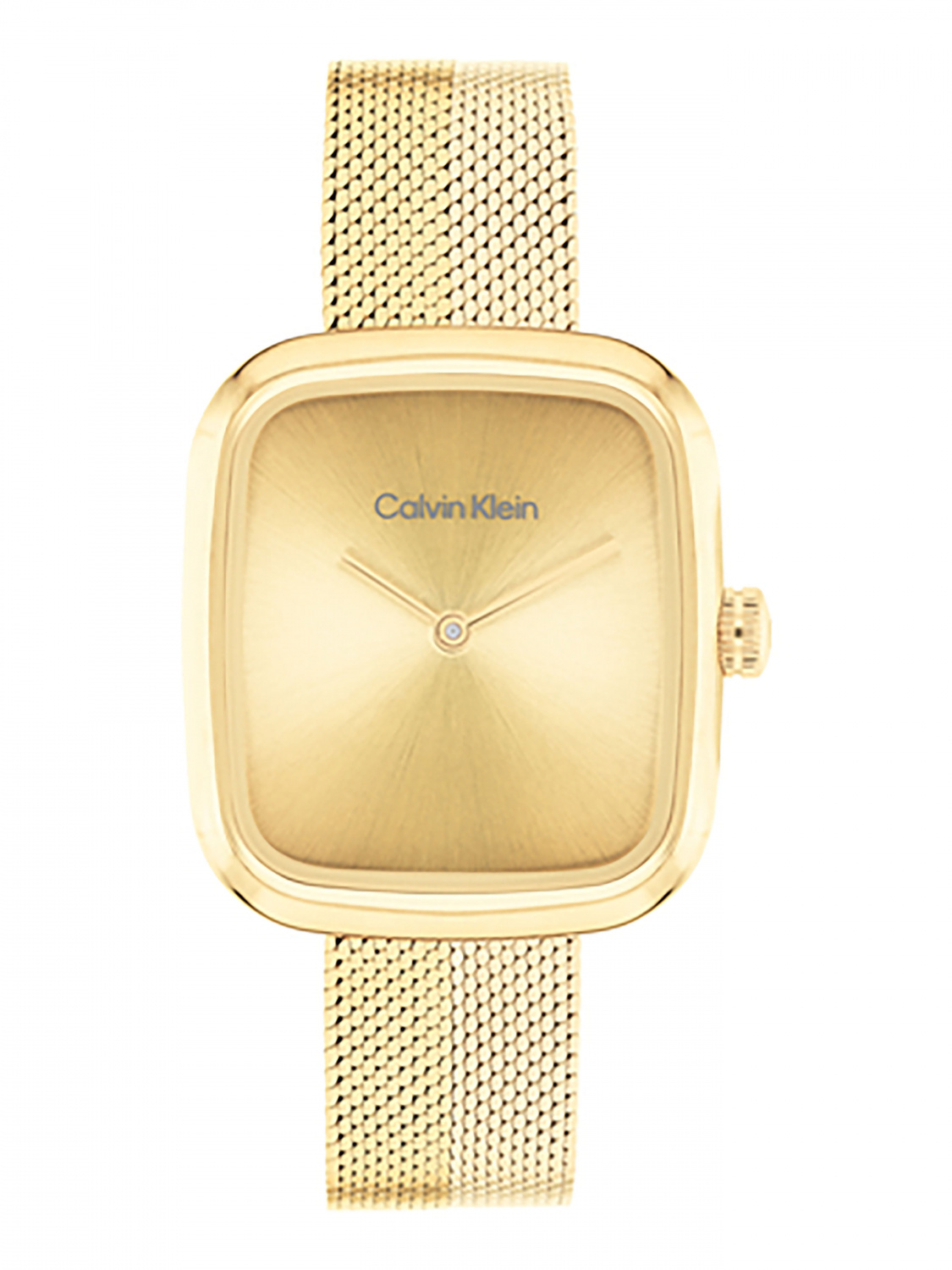 CALVIN KLEIN 25100099