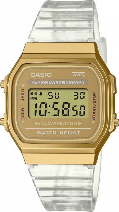 CASIO / A168XESG-9A